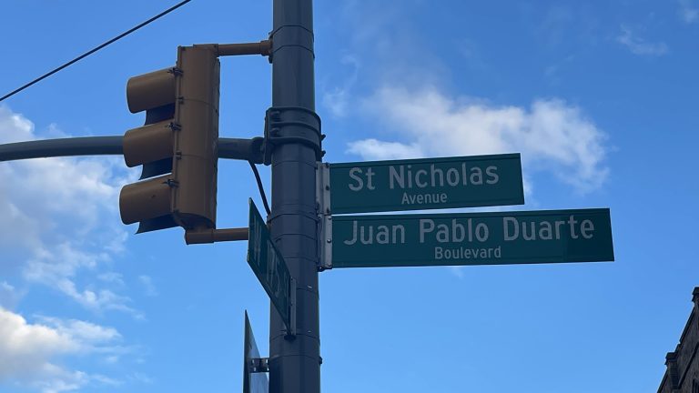 Manhattan es diversidad, alta densidad y retos en seguridad urbana