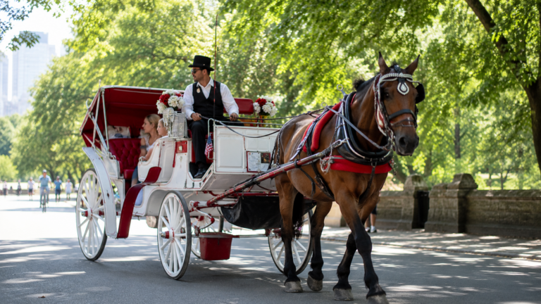 Nueva York se encamina a prohibir los carruajes de caballos en Central Park