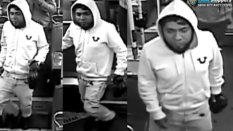 Dos menores abusadas en parques de El Bronx: un sospechoso se entrega