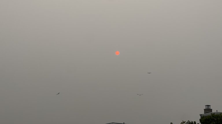 Nueva York bajo alerta por humo tóxico de Canadá