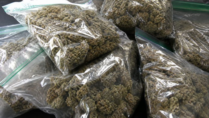 Marihuana
