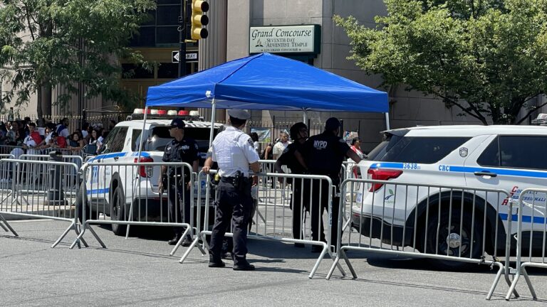 Casi la mitad de las multas civiles emitidas por la NYPD fueron desestimadas