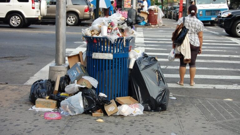 Nueva York multará con hasta $200 a quienes saquen la basura sin el contenedor requerido