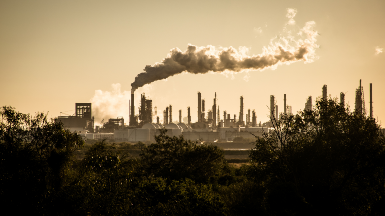 Guerras y cambio climático aceleran la destrucción del planeta, advierten ambientalistas