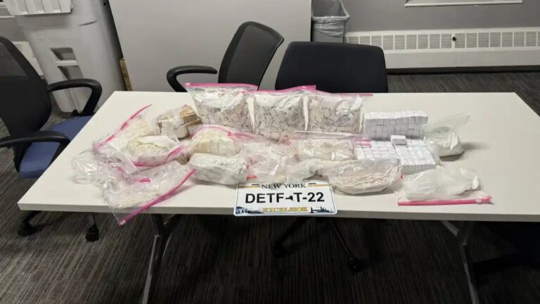 Fentanilo valorado en $1 millón es decomisado frente a parque infantil en El Bronx