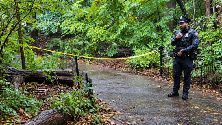 Mujer de 60 años es hallada muerta con múltiples heridas de arma blanca en Central Park