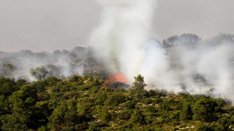 OMM advierte que incendios y olas de calor amenazan la calidad del aire