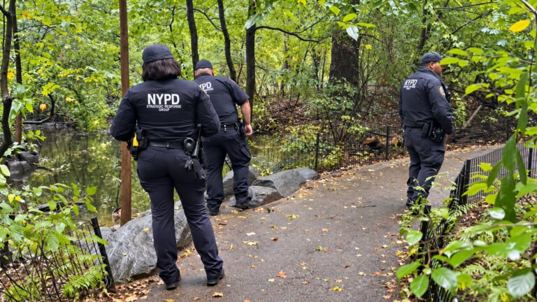 Hombre es acusado de asesinato tras muerte de mujer en Central Park