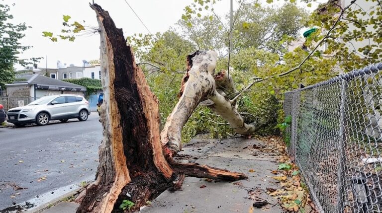Con Edison restablece más de 21,000 cortes de electricidad