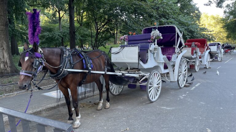 Nueva York se encamina a prohibir los coches tirados por caballos a partir de 2028